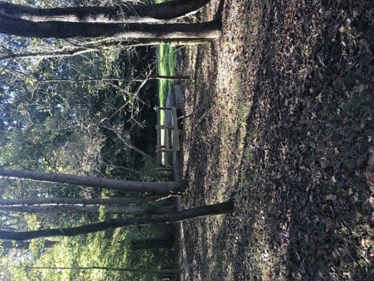 Walking Trail Walking Trail