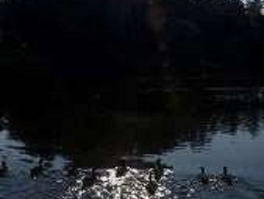 Lakes Lakes